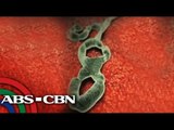 PH on heightened alert vs Ebola virus