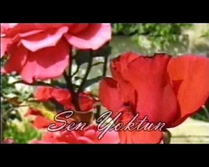 Sen Yoktun Sultanım