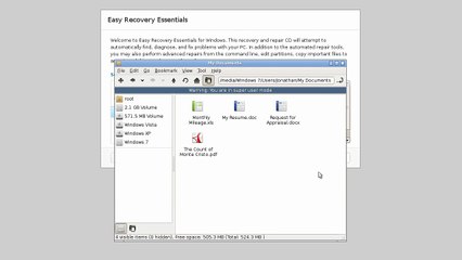 Easy Recovery Essentials for Windows