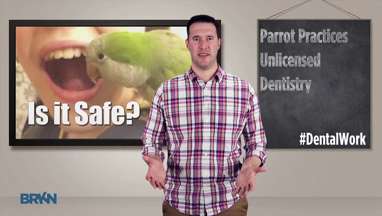 Video Shows Parrot Pulling Tooth