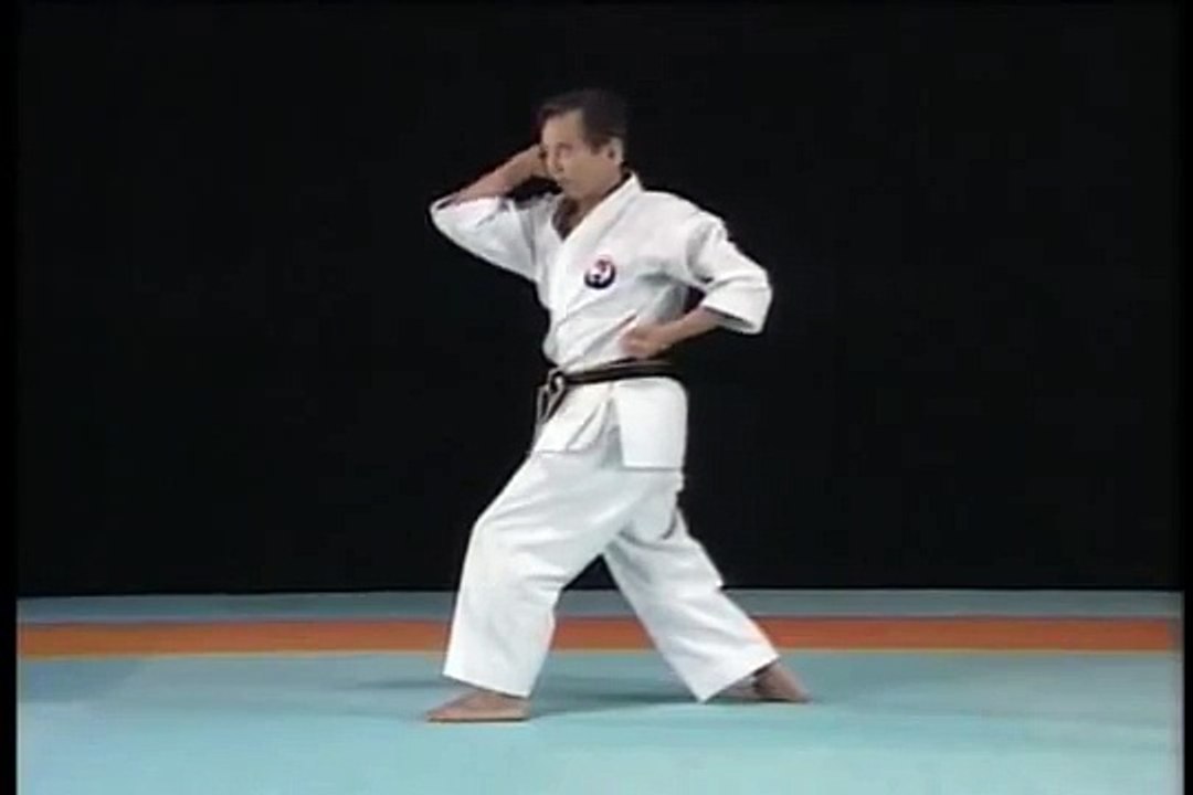 Wado-kai complete karate kata Niseishi
