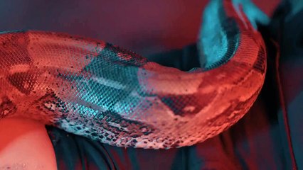 Inna feat. Marian Hill - Diggy Down