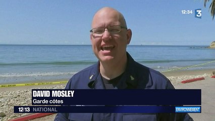 La marée noire fait ses premiers dégâts en Californie