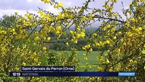 La nature en fête partout en France