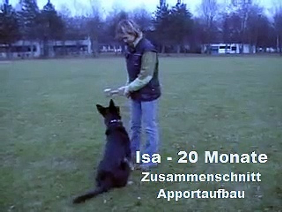 Entrainement rapport d'objet RCI