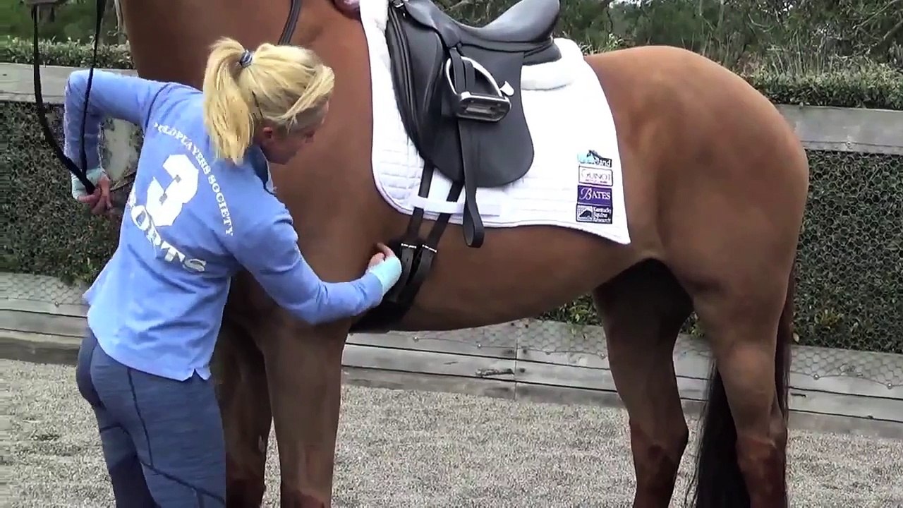 Flexible Fit Tutorial: How to Fit Your Anatomical Dressage Girth
