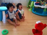 Twin babies crying and screaming when Elmo shakes!