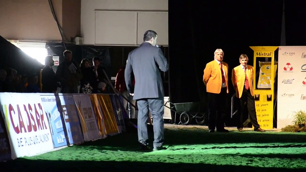 Eurogénétique 2013 : désignation de la grande championne Montbéliarde