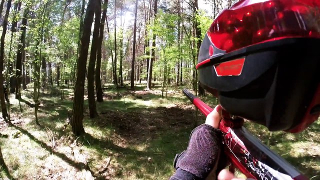 Eurobiggame Mahlwinkel 2015 Green Devils