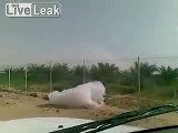 Very Strange Morphing Fiberlike Cloud interacting - Fake or True?  [original: j00nero on LiveLeak]