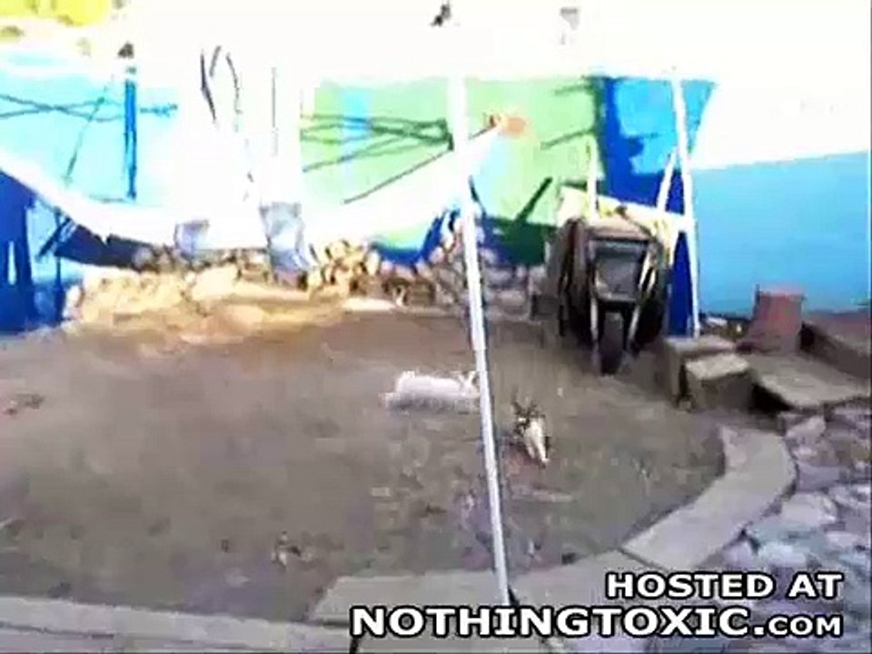 ayrılın lan!