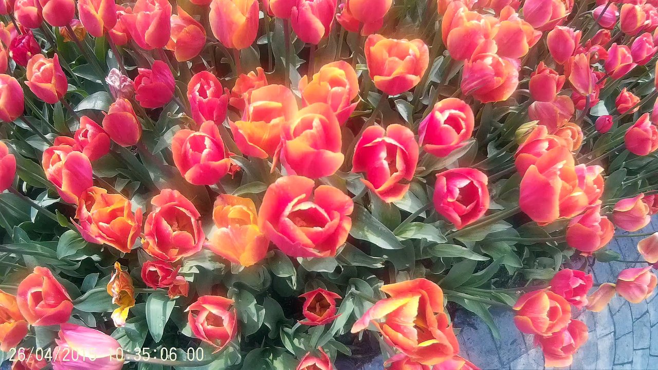 çok güzel