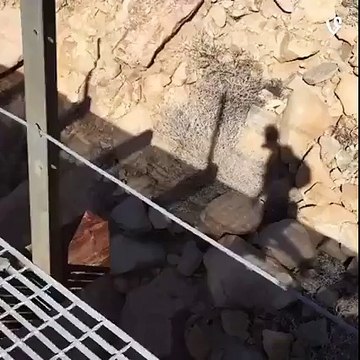 Anza-Borrego Desert State Park by Kevin Russ?syndication=228326