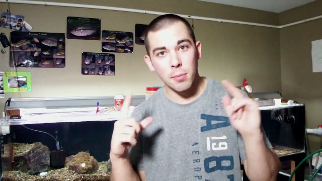 WHO WANTS UMBEES??? | 5/4/14