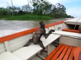 WTF! Strange CREATURE on my boat dries! PARANORMAL