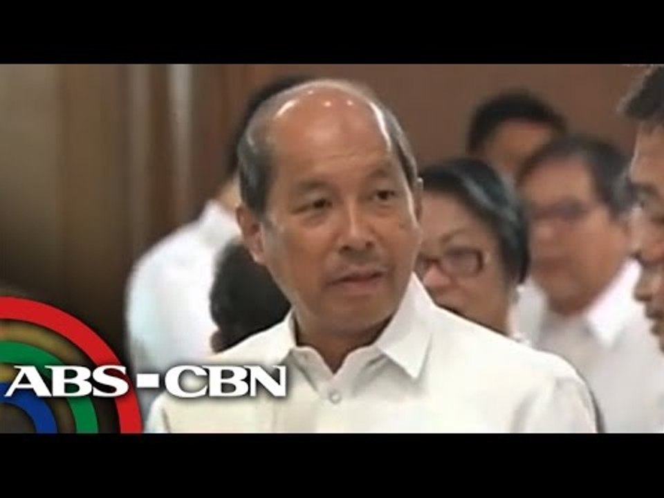 Abad failed to defend DAP: Analyst
