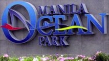 Fish Spa Manila Ocean Park - Manila Tour - WOW Philippines Travel Agency