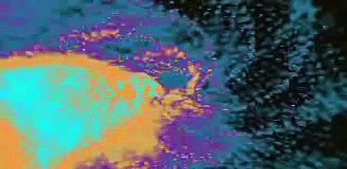 Jonathan Elias - More to see