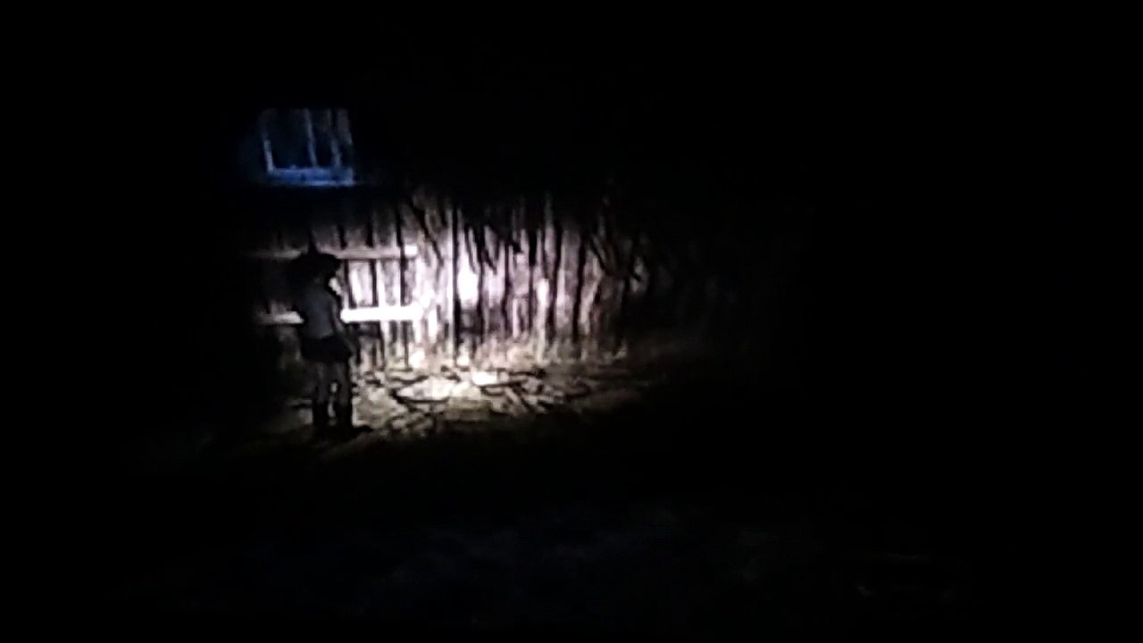 Project Zero: Kapitel2 - Dämonenjagd Tür Rätsel