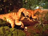 Dino-Ausstellung Hamm