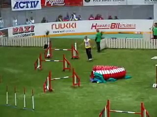 Hamar, Silas Boogk - WC2007 Agility