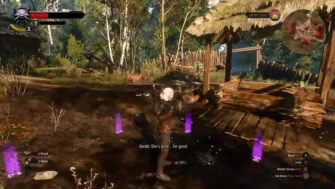 Best GamePlays The Witcher 3- Wild Hunt