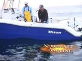 Shark Fishing - Montauk, NY - Monster Blue Shark (Preview)
