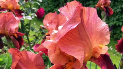 Enregistrement mobile du 18 mai 2015