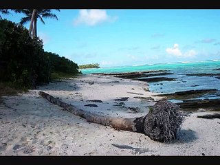 Emmène moi si tu vas là bas