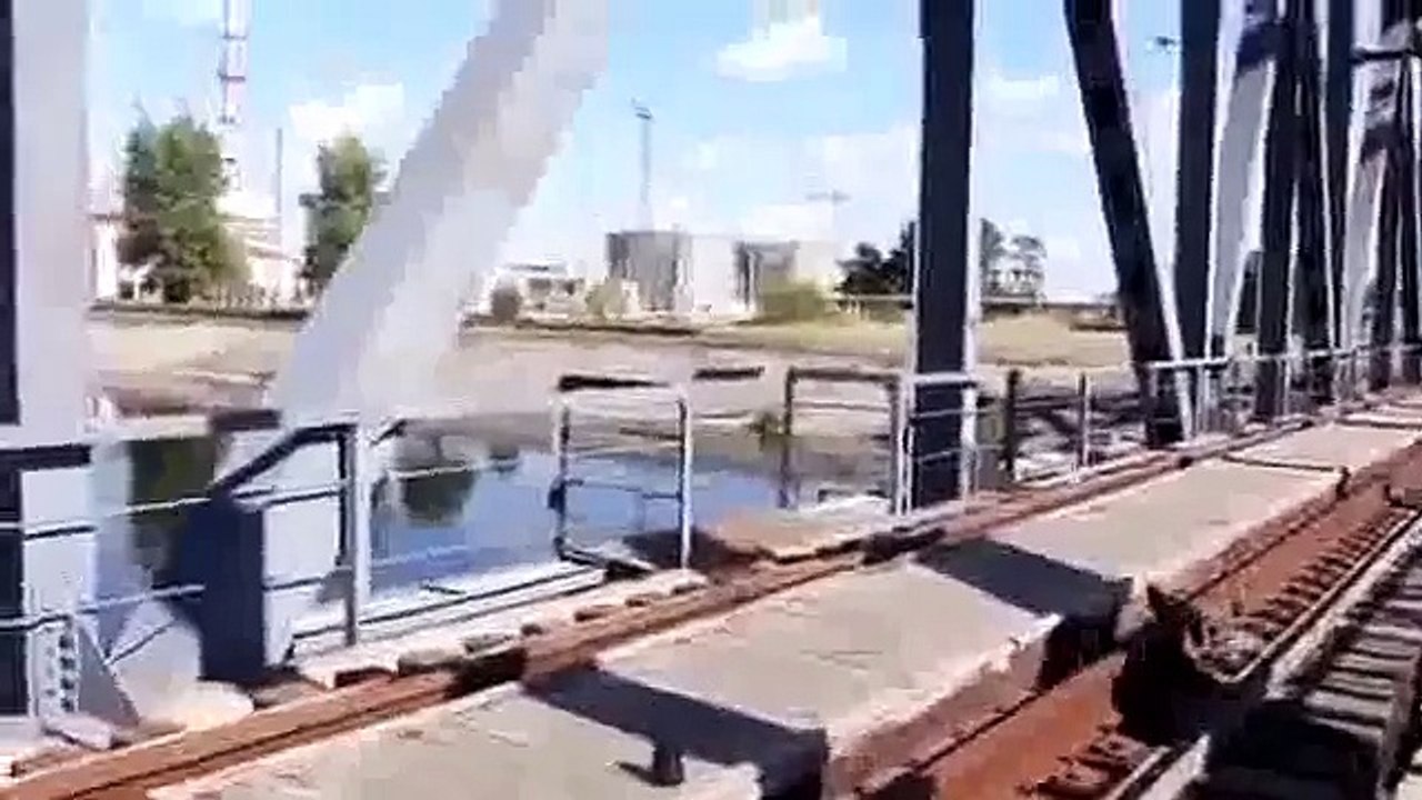 Ужас! Гигантские сомы Чернобыля Украина могут съесть ребенка!