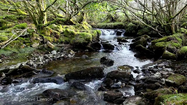 RELAXING MUSIC-música relajante-musique relaxante-muzică de relaxare-Entspannungsmusik