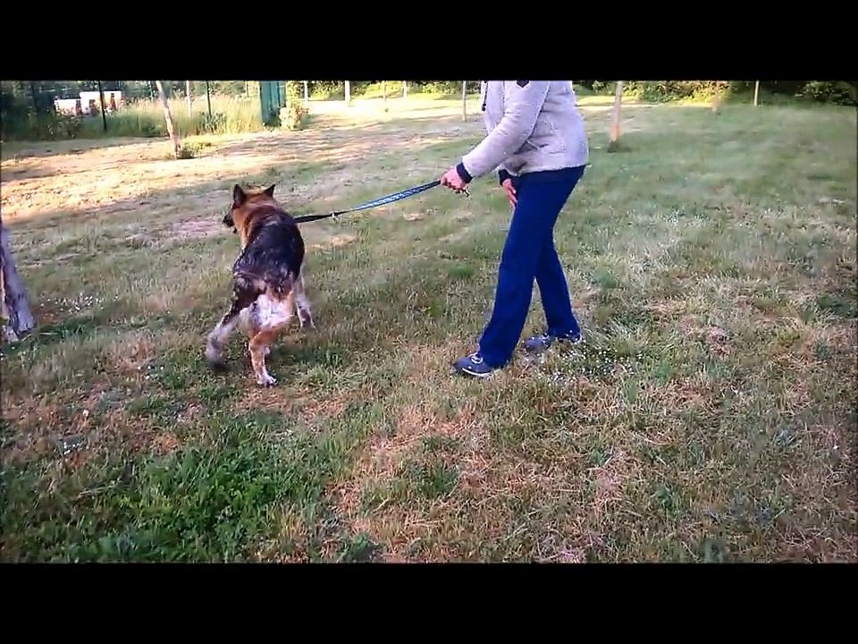 Belle en balade avec ses copines