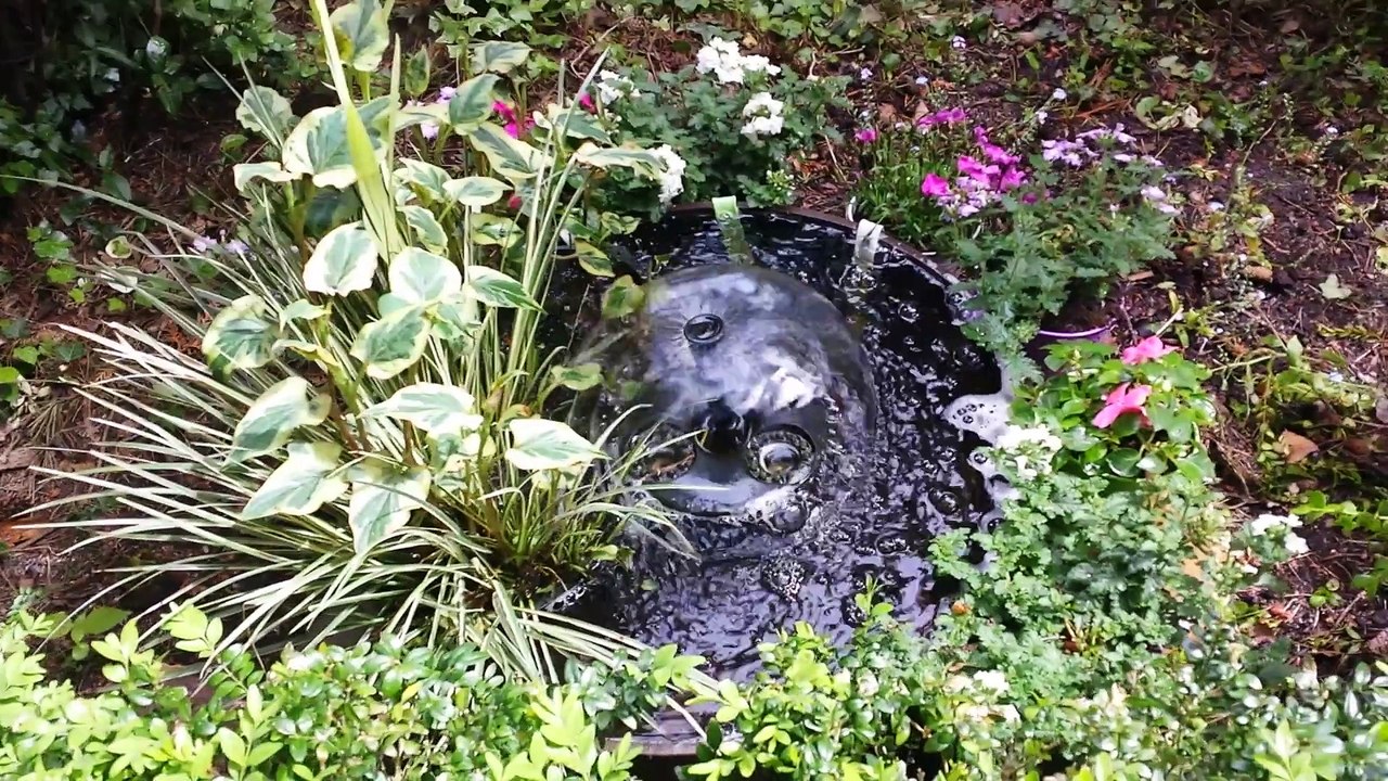 Dirk and Jeanne's garden 23 May