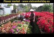 Flower market in Ho Chi Minh City Vietnam, Happy New Year 2014! Vietnam travel