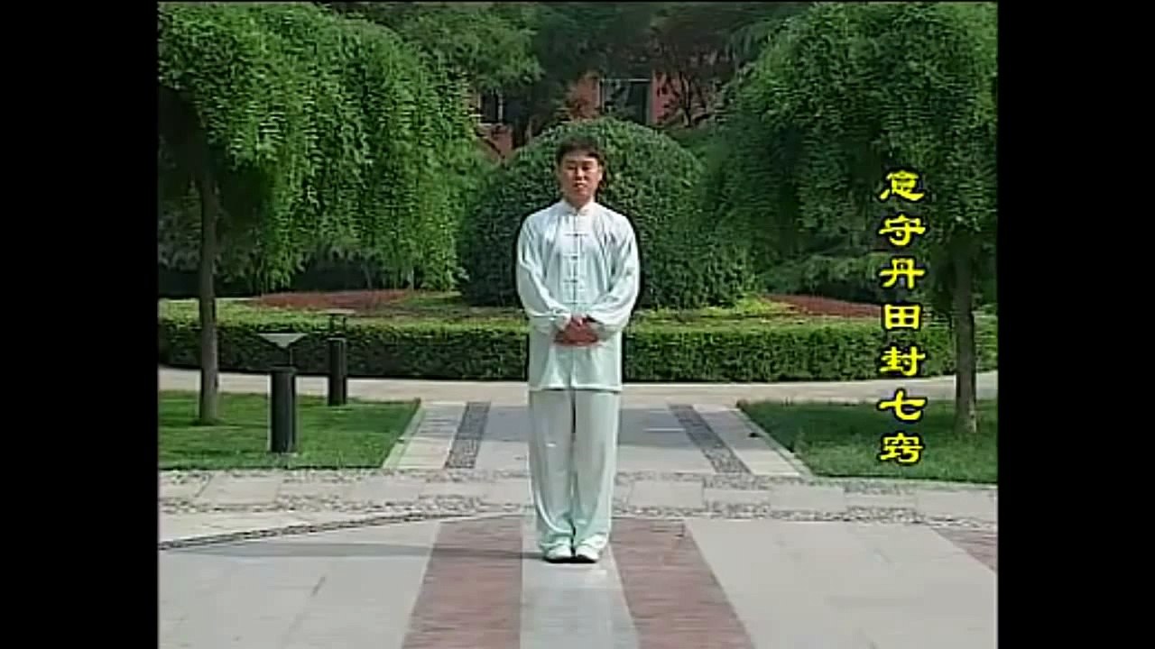 Daoyin Yangsheng Gong Rene