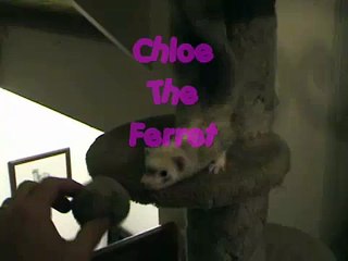 Why can't we be friends