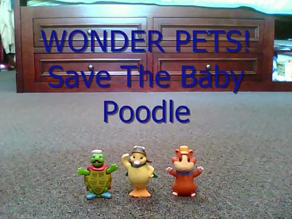 WONDER PETS!