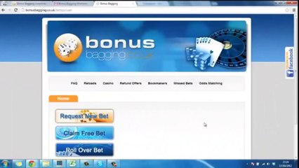 Bonus Bagging Review- A Must See Review Before Signing Up