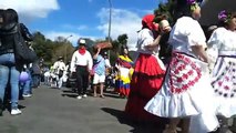 Carnaval Universitario UNAL 2012: Desfile Comparsas 3