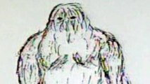 Yeti mystery: Research finds genetic match of Abominable Snowman