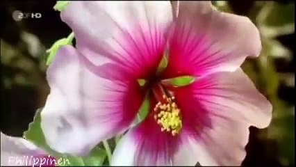 Philippinen -  Dokumentation auf deutsch