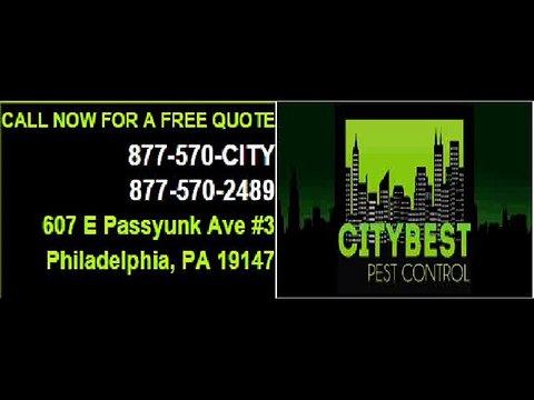 Bed Bugs Exterminator - citybestpestcontrol.com