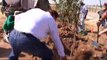 Lifesaving Trees -- Tree Plantings to Protect Western Negev Residents
