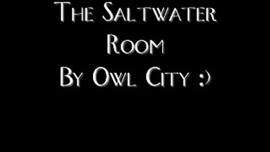 The Saltwater Room By Owl City With Lyrics