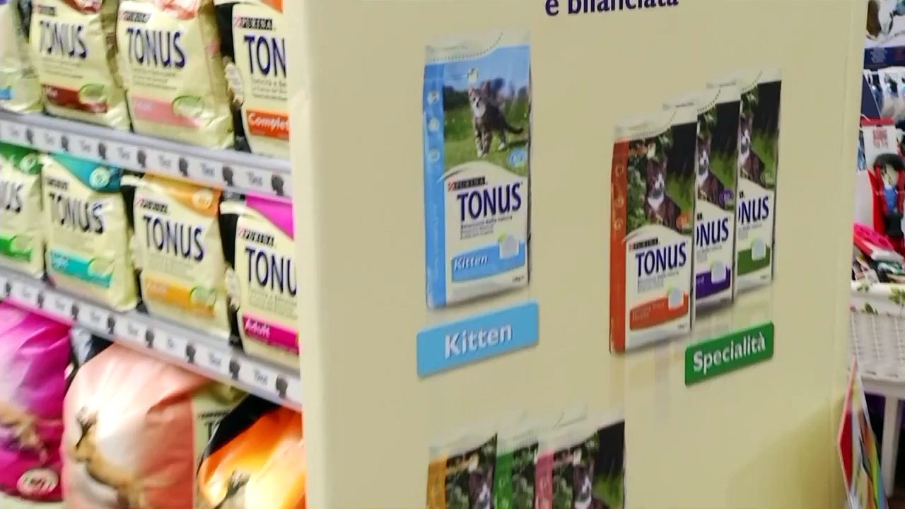 Tonus Disc Dog Tour | Purina