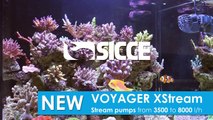 SICCE XSTREAM: XS SIZE WAVE AND CIRCULATION PUMPS