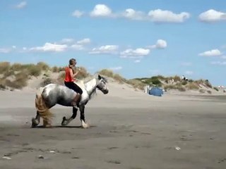 La plage avec mon cheval Tao