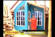 Techito propio: creatividad peruana nos trae el 'Boom de la casas prefabricadas' (1/2)