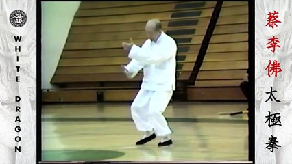 Yang Style Tai Chi Chuan - Great Grandmaster Hu Yuen Chou