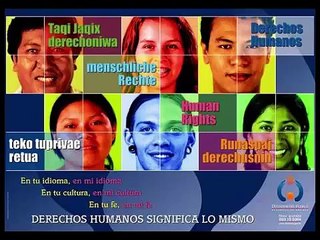 DECLARAÇÃO UNIVERSAL DOS DIREITOS HUMANOS - ENTREVISTAS